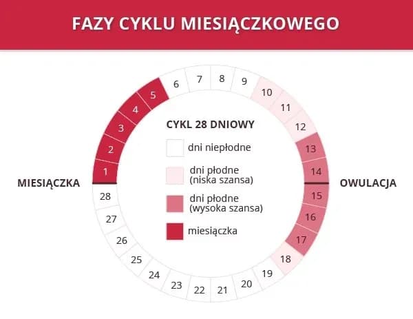 Jak rozpoznać owulację i uniknąć problemów z płodnością