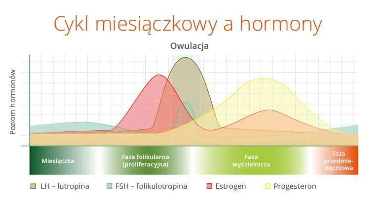 Kiedy występuje owulacja w cyklu 32 dni? Sprawdź, jak obliczyć