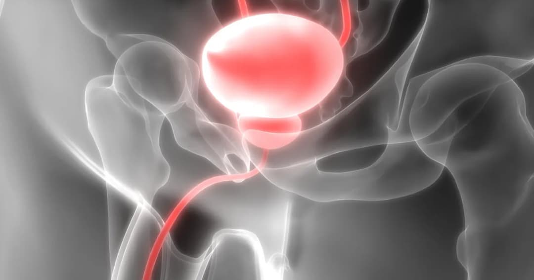 Jak wygląda wizyta u urologa kobieta - co musisz wiedzieć przed wizytą